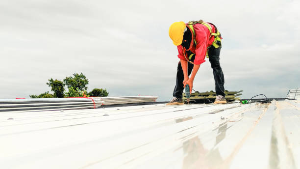 Best Metal Roofing Installation  in Steelevle, IL