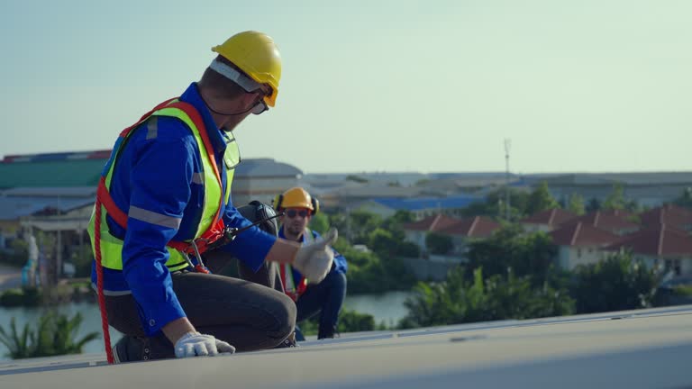 Best Roof Leak Repair  in Steelevle, IL