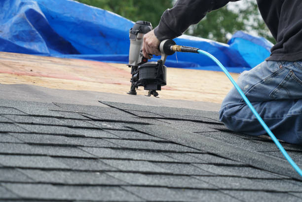 Best Roofing for New Construction  in Steelevle, IL