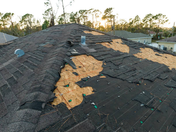Best Wood Shake Roofing  in Steelevle, IL
