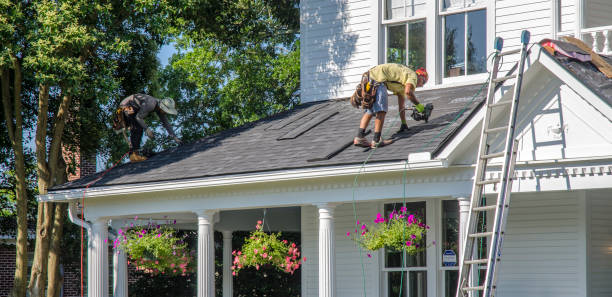 Best Asphalt Shingles Roofing  in Steelevle, IL
